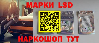 прущие крисы Моздок