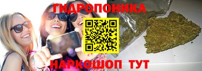 apvp Можайск
