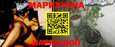 прущие крисы Моздок