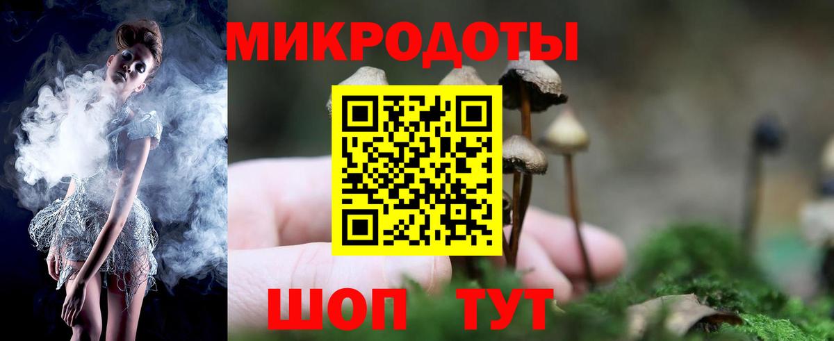 Псилоцибиновые грибы MAGIC MUSHROOMS Грязи